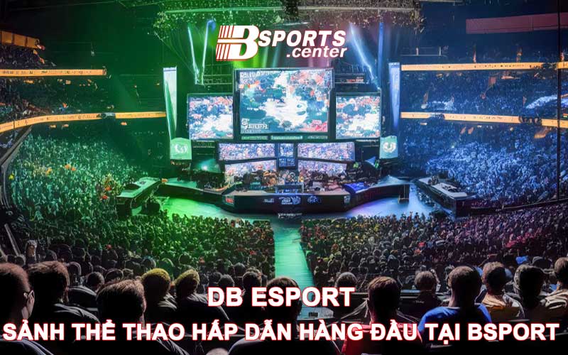 Sảnh DB Esport là gì?