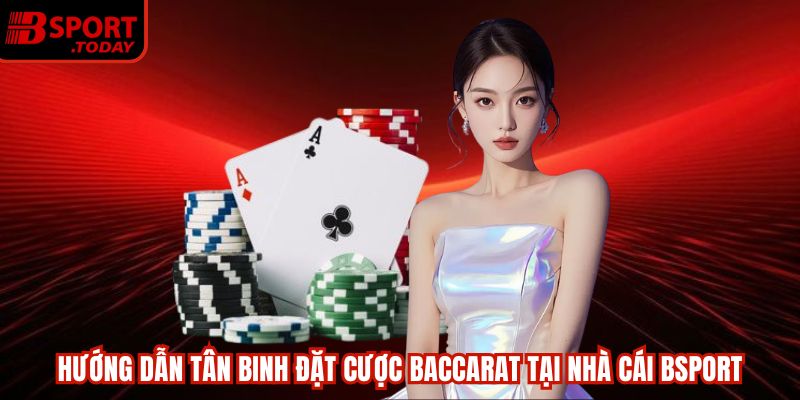 Hướng dẫn tân binh đặt cược Baccarat tại nhà cái Bsport
