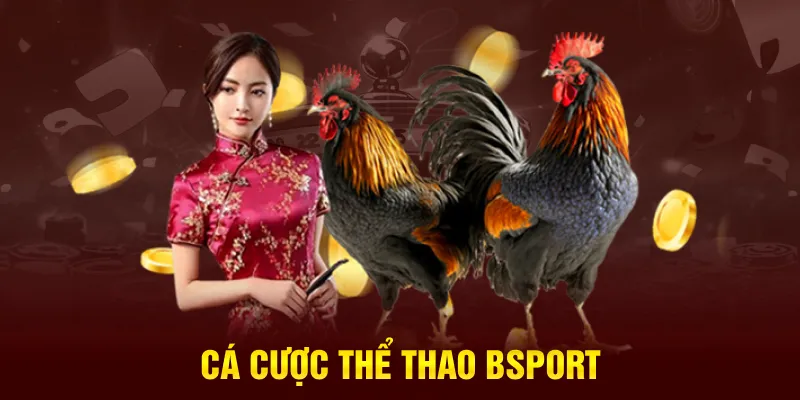 Cá cược thể thao Bsport