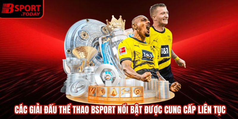 Điểm danh các ưu điểm nổi trội của BSport